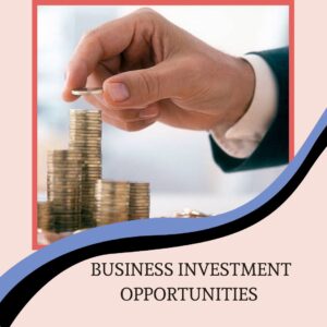 Business investment opportunities